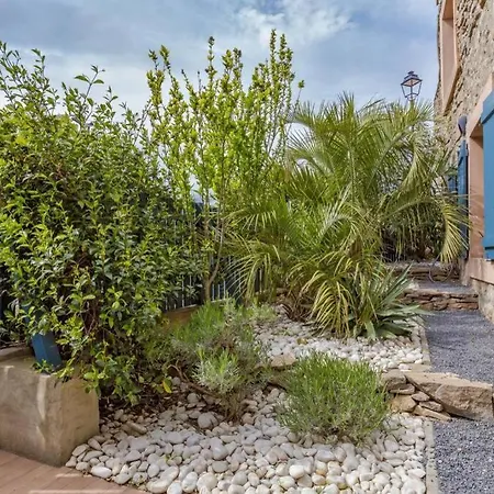 Opuntia Location En Mediterranee