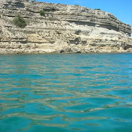 Opuntia Location En Mediterranee