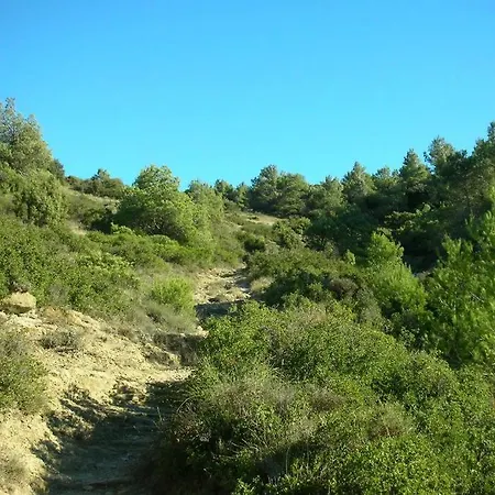 Opuntia Location En Mediterranee