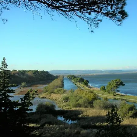 Opuntia Location En Mediterranee Holiday home