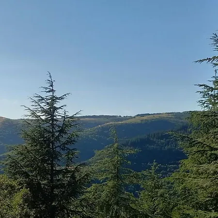Opuntia Hébergement de vacances