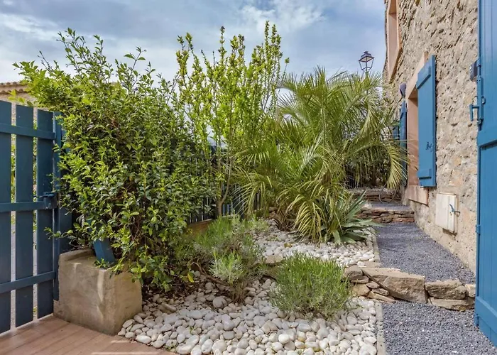 Opuntia Location En Mediterranee